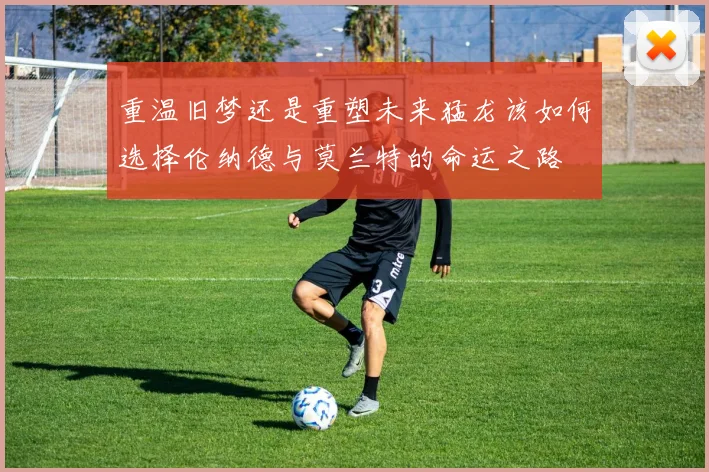 重温旧梦还是重塑未来猛龙该如何选择伦纳德与莫兰特的命运之路